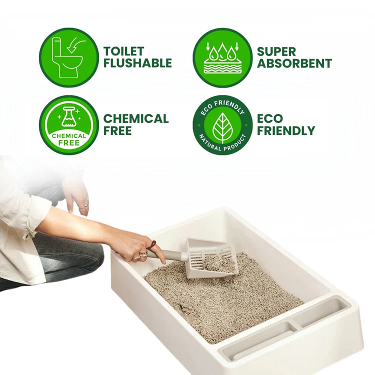 Natural Tofu Cat Litter: The Eco-Smart Solution